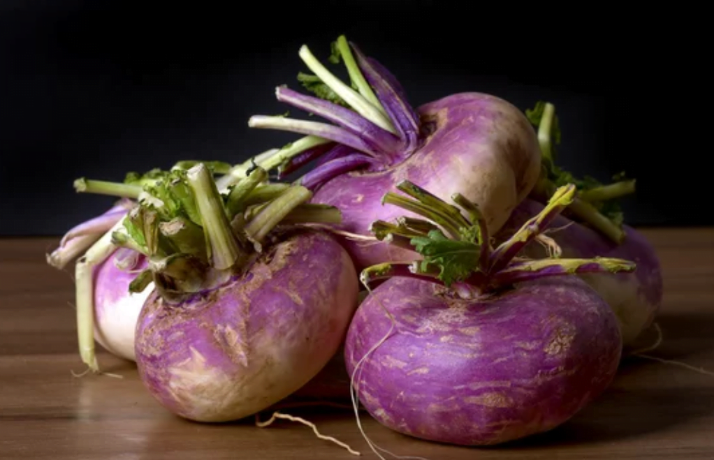 Purple Top Rutabaga